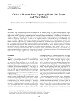 Omics of Root-to-Shoot Signaling Under Salt Stress