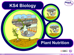 Plant Nutrition