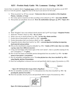 Protists Study Guide / Mr