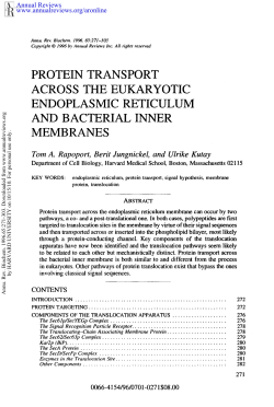 Protein Transport Across the Eukaryotic Endoplasmic Reticulum and