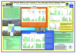 The Recent Status and Trends of Two Georgia Marsh Dieback Sites
