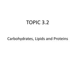 TOPIC 3.2 Carbohydrates, Lipids and Proteins