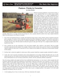 Pasture: Points to Consider The Dairy One Improver