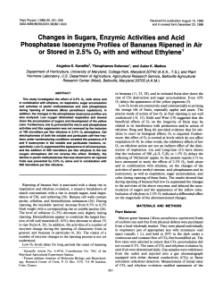Changes in Sugars, Enzymic Activities and Acid or Stored in 2.5%02