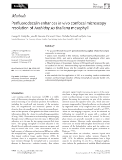 Perfluorodecalin enhances in vivo confocal microscopy resolution of