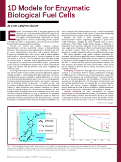 1D Models for Enzymatic Biological Fuel Cells
