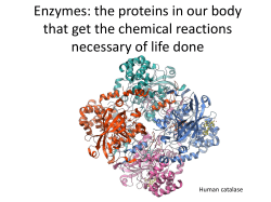Enzymes