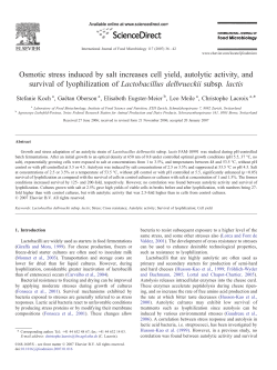 Osmotic stress induced by salt increases cell yield, autolytic activity