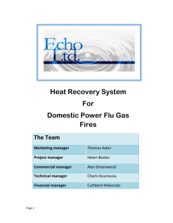 Heat Recovery System For Domestic Power Flu Gas Fires
