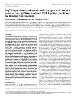 Mg -dependent conformational changes and product release during