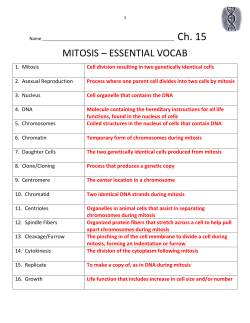 Mitosis as a form of Asexual Reproduction in Plants