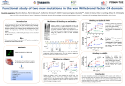 Functional study of two new mutations in the von Willebrand factor