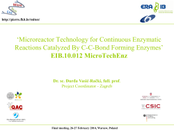 2nd Consortium meeting „Microreactor Technology for