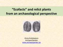 Plant macrofossil analysis