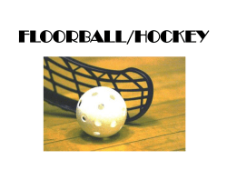 floorball/hockey safety