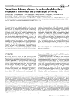 Transaldolase deficiency influences the pentose phosphate