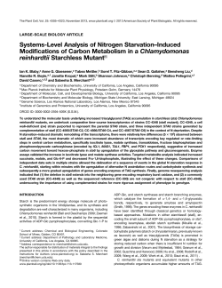 Systems-Level Analysis of Nitrogen Starvation&ndash;Induced