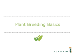 Plant Breeding Basics