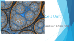 Cell Unit