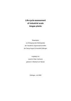 Life-cycle-assessment of industrial scale biogas plants