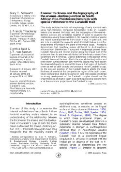 Enamel thickness and the topography of the enamel