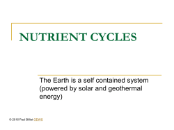 The Carbon Cycle