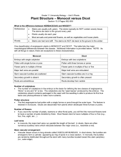 Grade 11 College Biology &ndash; Unit 4