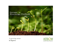 AEBIOM Bioenergy Presentation