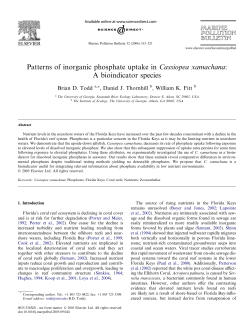 Patterns of inorganic phosphate uptake in Cassiopea xamachana: A