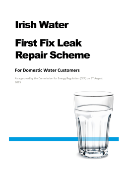 Irish Water First Fix Leak Repair Scheme