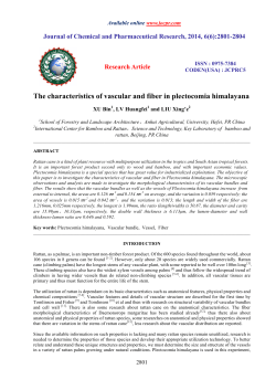 The characteristics of vascular and fiber in plectocomia himalayana