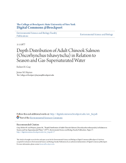 Depth Distribution of Adult Chinook Salmon