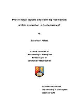 Physiological aspects underpinning recombinant protein production