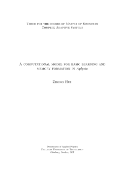 A computational model for basic learning and memory formation in