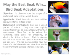 May the Best Beak Win... Bird Beak Adaptations