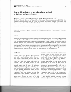 Structural investigations of microbial cellulose produced in