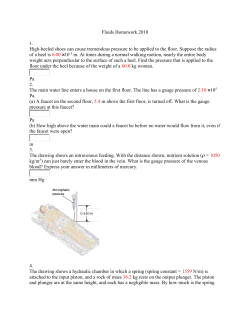 Fluids Homework 2010 - Jaclyn Kuspiel Murray