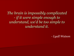 &ldquo;place field&rdquo;.