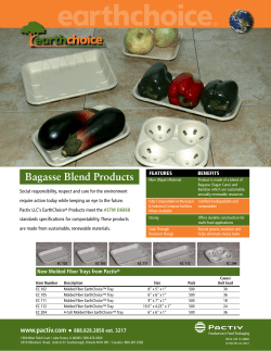 Bagasse Blend Products