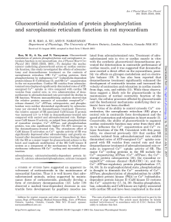 Glucocorticoid modulation of protein phosphorylation