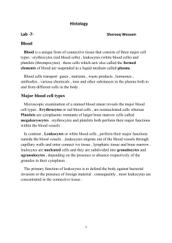Major blood cell types