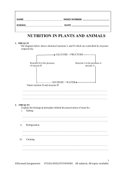 nutrition in plants and animals - senator kebaso secondary school