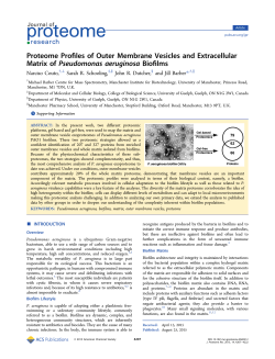 Proteome Profiles of Outer Membrane Vesicles