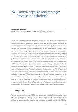 24 Carbon capture and storage: Promise or delusion?