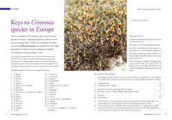 Keys to Grimmia species in Europe
