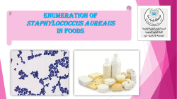 Lab.5 Enumeration of S.aureus in food