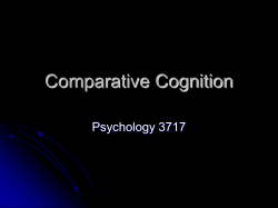 Comparative Cognition