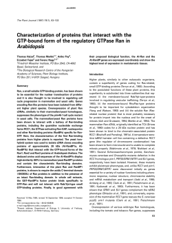 Characterization of proteins that interact with the GTP-bound