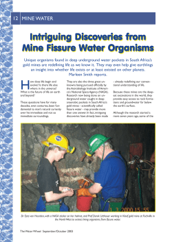 Intriguing Intriguing Discoveries from iscoveries from Mine Fissure