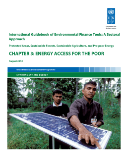 Chapter 3: Energy Access for the Poor